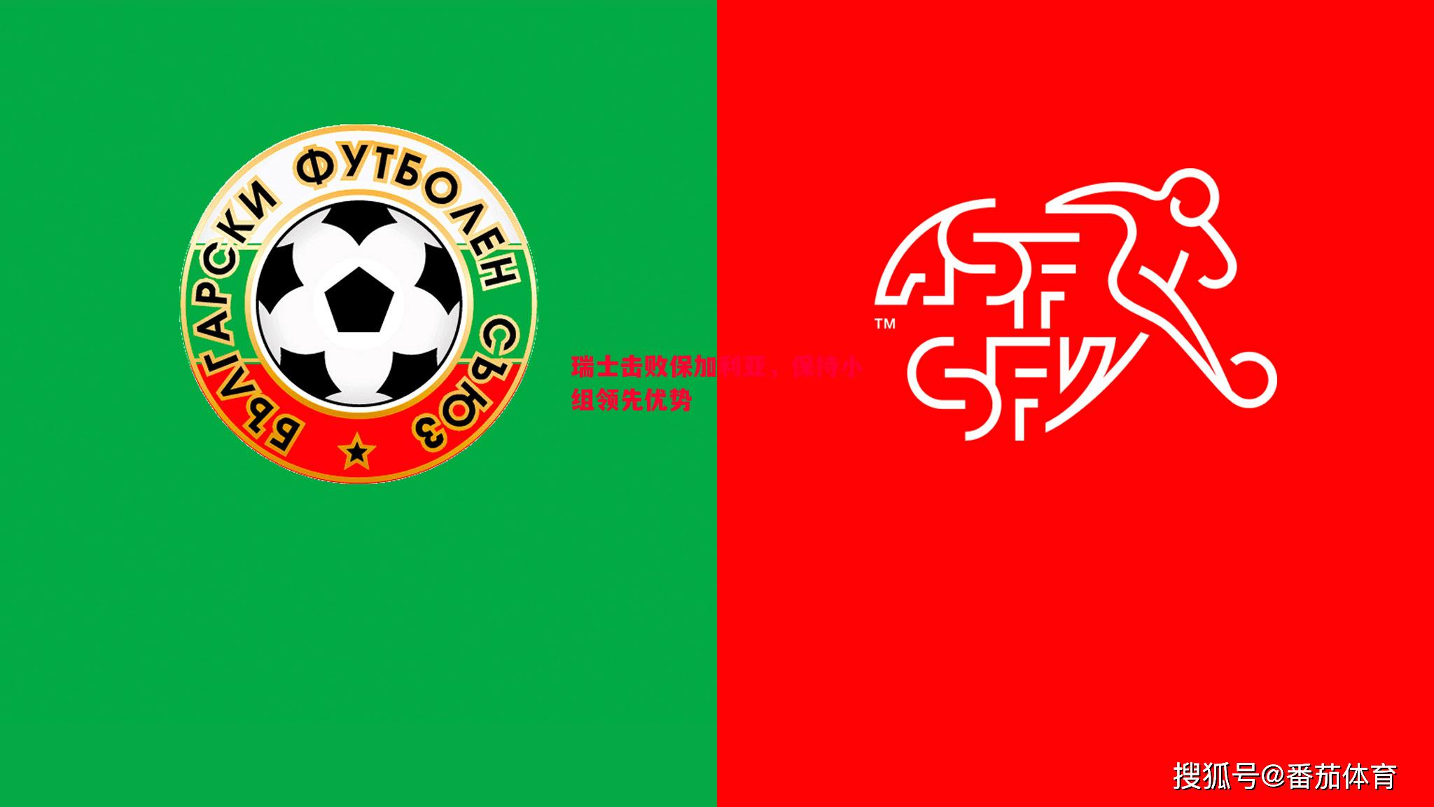 瑞士击败保加利亚,保持小组领先优势 瑞士击败保加利亚,保持小组领先优势