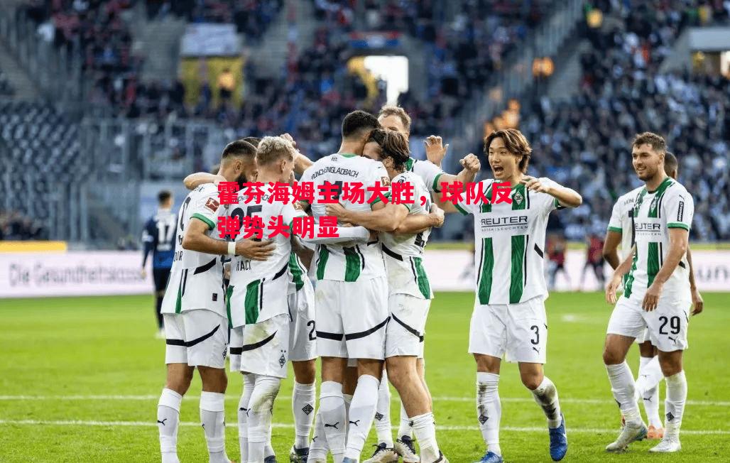 威廉希尔官网-霍芬海姆主场大胜，球队反弹势头明显